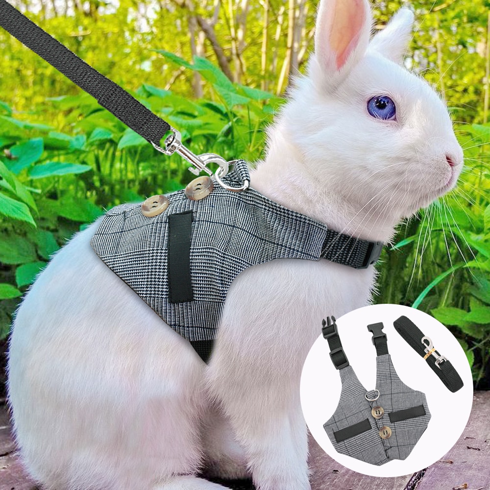 Cute Rabbit Hamster Harness Lead Leash Small Dog Cat kitten Puppy Plaid Harness and Leash Set  Escape Proof Pet Walking Harness