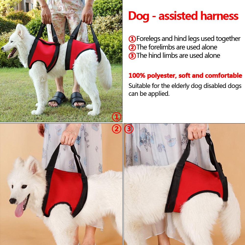 Dog Carrier Harness