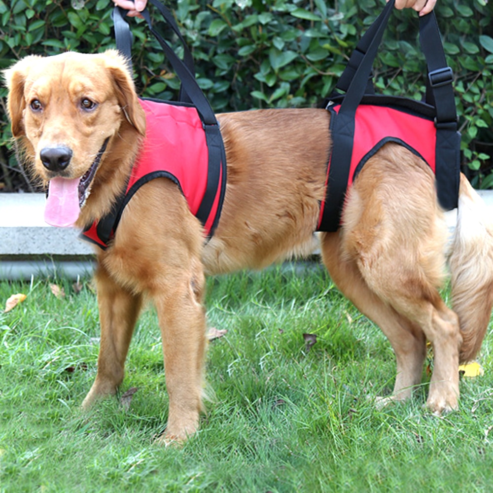 Dog Carrier Harness