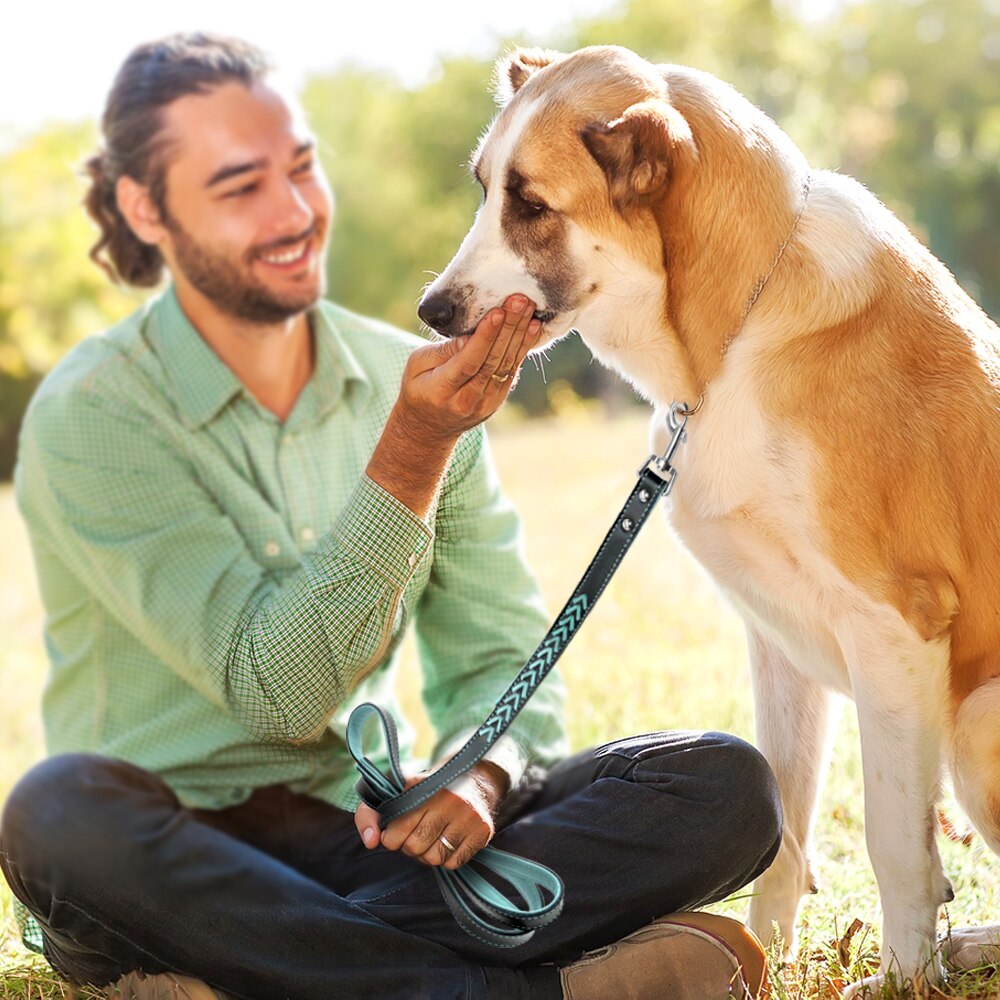 Soft Leather Dog Leash